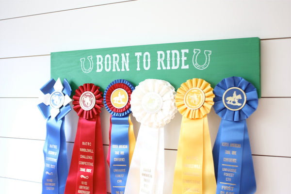 Equestrian Ribbon Holder - Born to Ride - Horseback Riding - Horse Show - York Sign Shop - 1